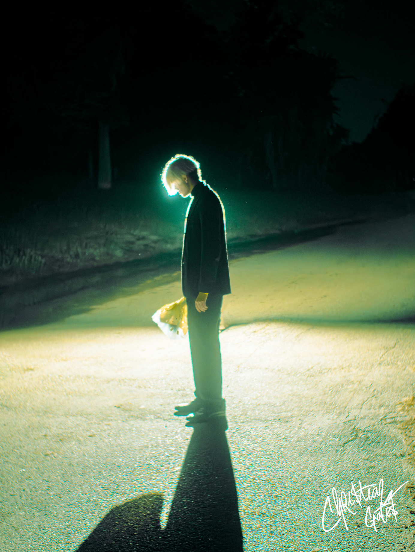 Signed Flowers Poster